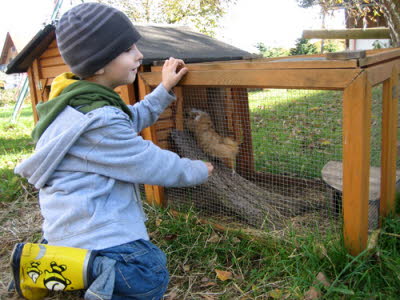 Merschweinichenstall